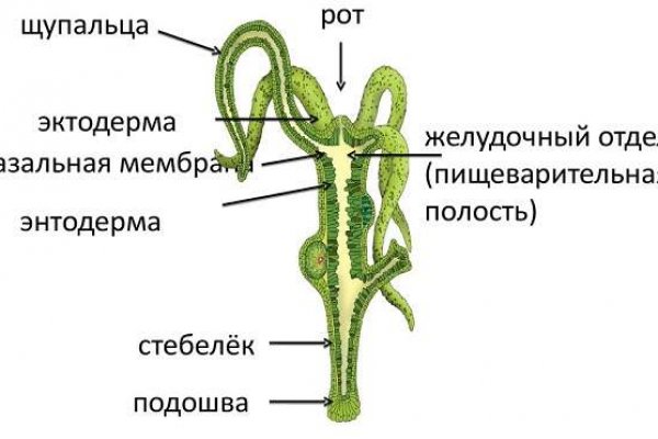 Kraken рабочая ссылка 2025