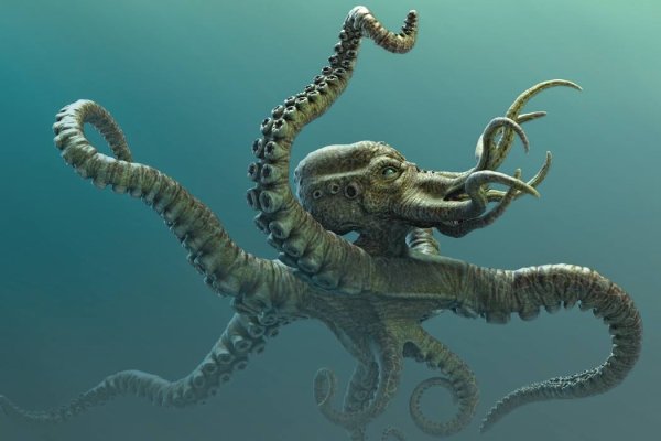 Kraken darknet kraken darknet 2n com