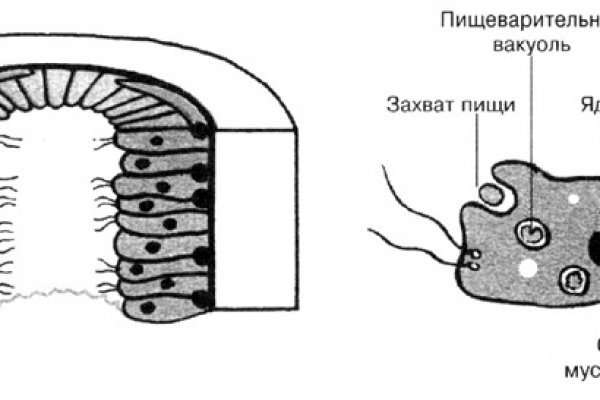 Кракен зарегистрироваться