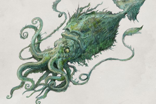 Kraken20 at