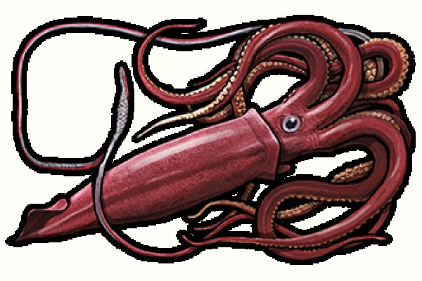 Kraken com зеркало