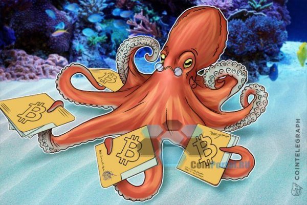 Kraken магазин